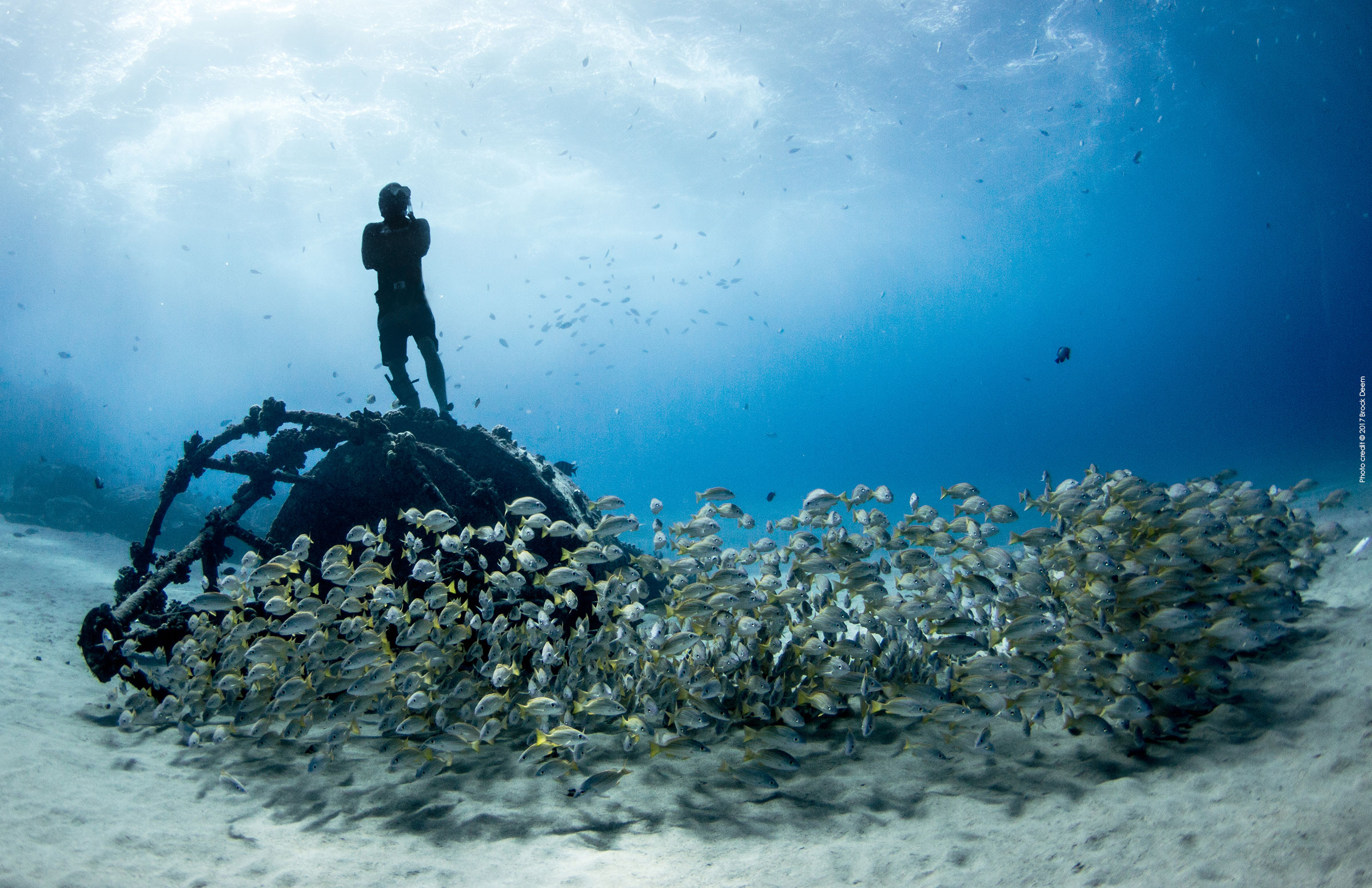 ocean film festival italia
